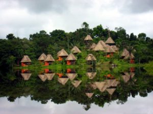 Amazonia- Ecuador South America