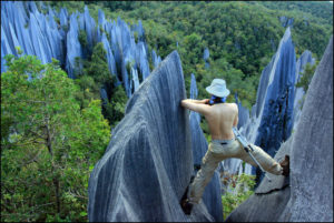 Mulu National Park Malaysia