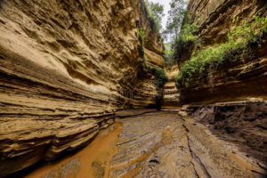 Hell’s Gate National Park Kenya