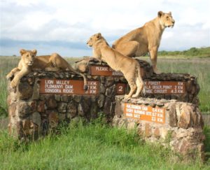 Nairobi National Park Kenya