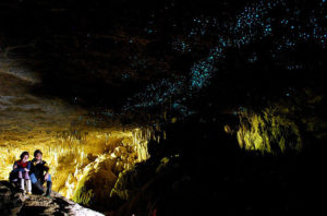 Waitomo Glowworm Caves New Zealand