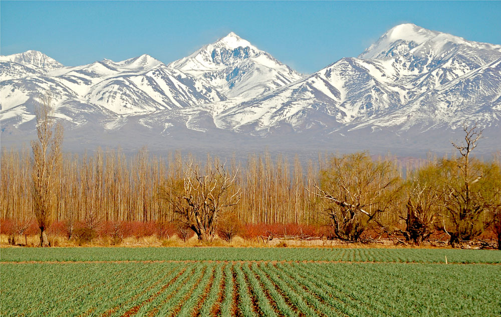 Mendoza-Province