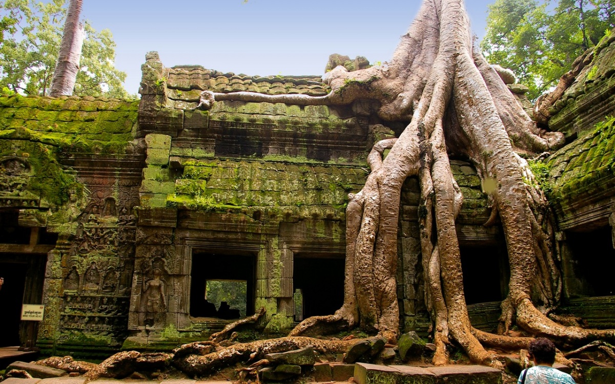 Ta-Prohm-temple-in-Siem-Reap-Cambodia