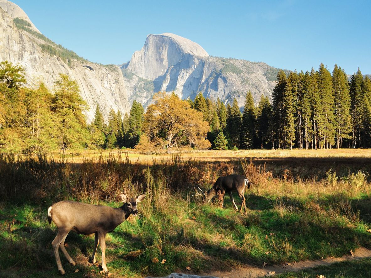 Yosemite-National-Park-USA