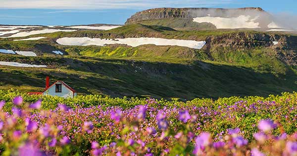 horstrandir-national-park-iceland