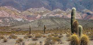 los-Cardones-National-Park