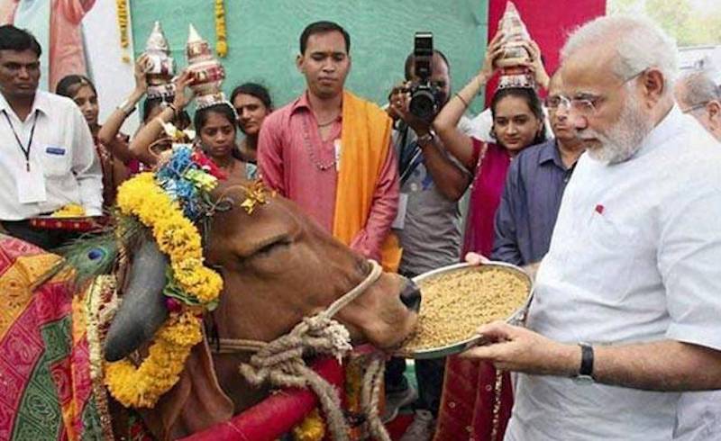 Cow Worship Day