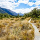 Exploring New Zealand's wild beauty